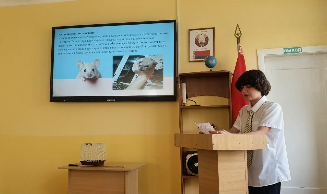 slid